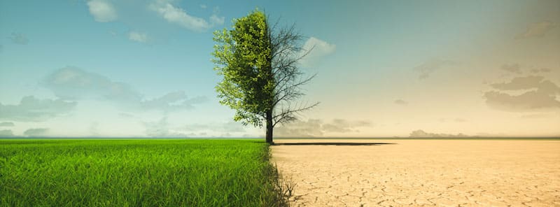 2024 Logistics Outlook Latin America | Climate change finally hits Latin America